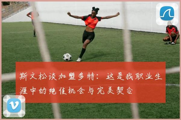 斯文松谈加盟多特：这是我职业生涯中的绝佳机会与完美契合